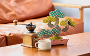 Play Plants Bonsai Puzzles - Classic Desk Buddy