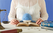 Posture Pal - Marine - Desk Series Buddy