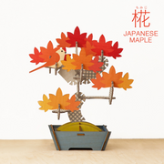 Play Plants Bonsai Puzzles - Classic Desk Buddy