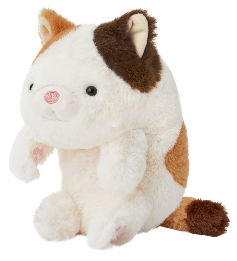 Posture Pal - Gift Shelf Pick