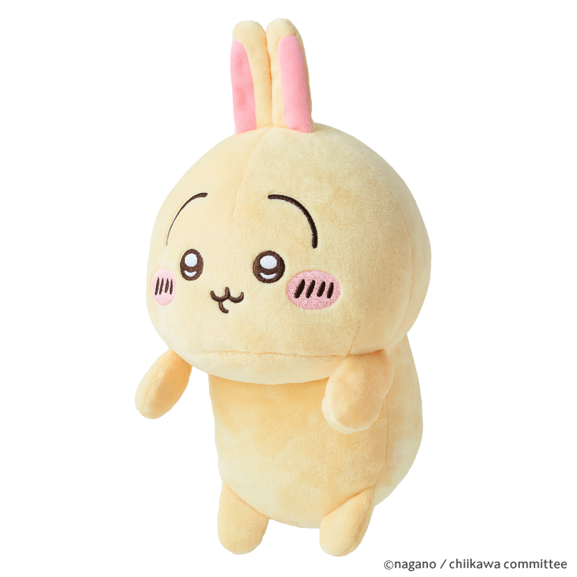 Posture Pal - CHiiKAWA - Pocket Series Choice