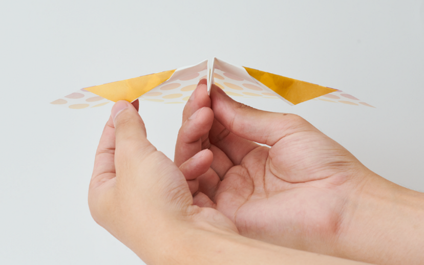 Papillon Origami Airplanes - Easy Ready