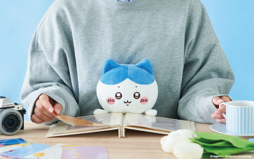 Posture Pal - CHiiKAWA - Sweet Desk Pick
