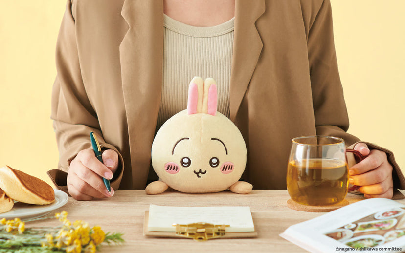 Posture Pal - CHiiKAWA - Sweet Desk Pick