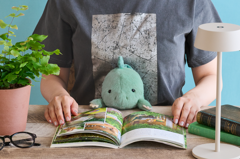 Posture Pal - Dinosaur - Mini Gift Pick