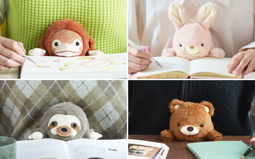 Posture Pal - Gift Shelf Pick