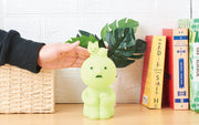 SMISKI Touch Light - Gift Glow