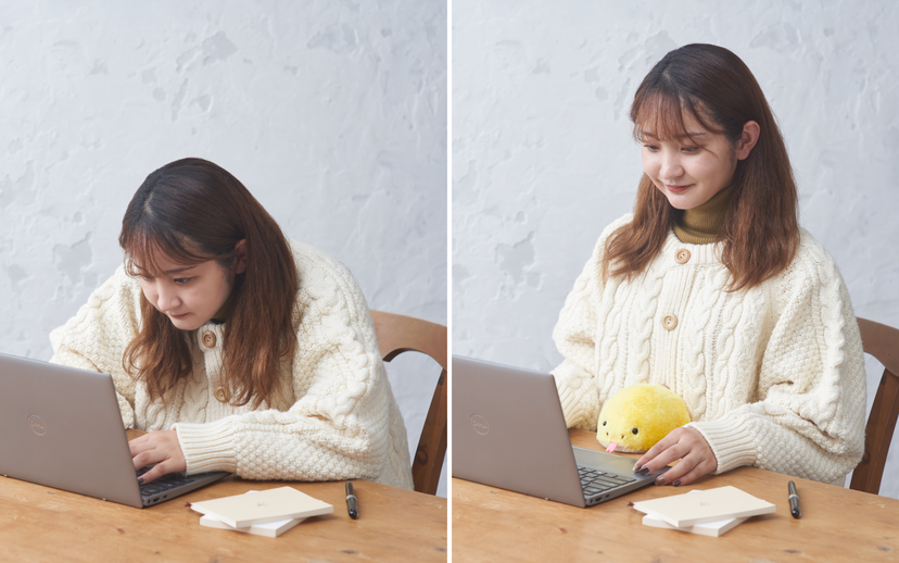 Posture Pal - Collector Ready