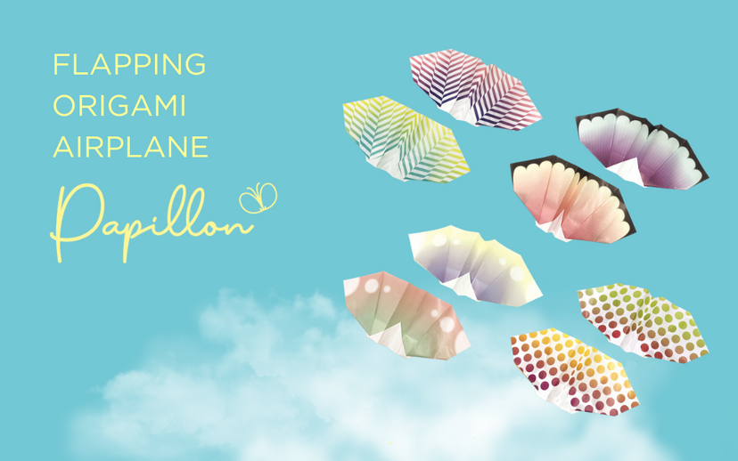Papillon Origami Airplanes - Easy Ready
