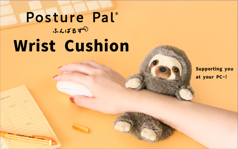 Posture Pal - Daily Comfort