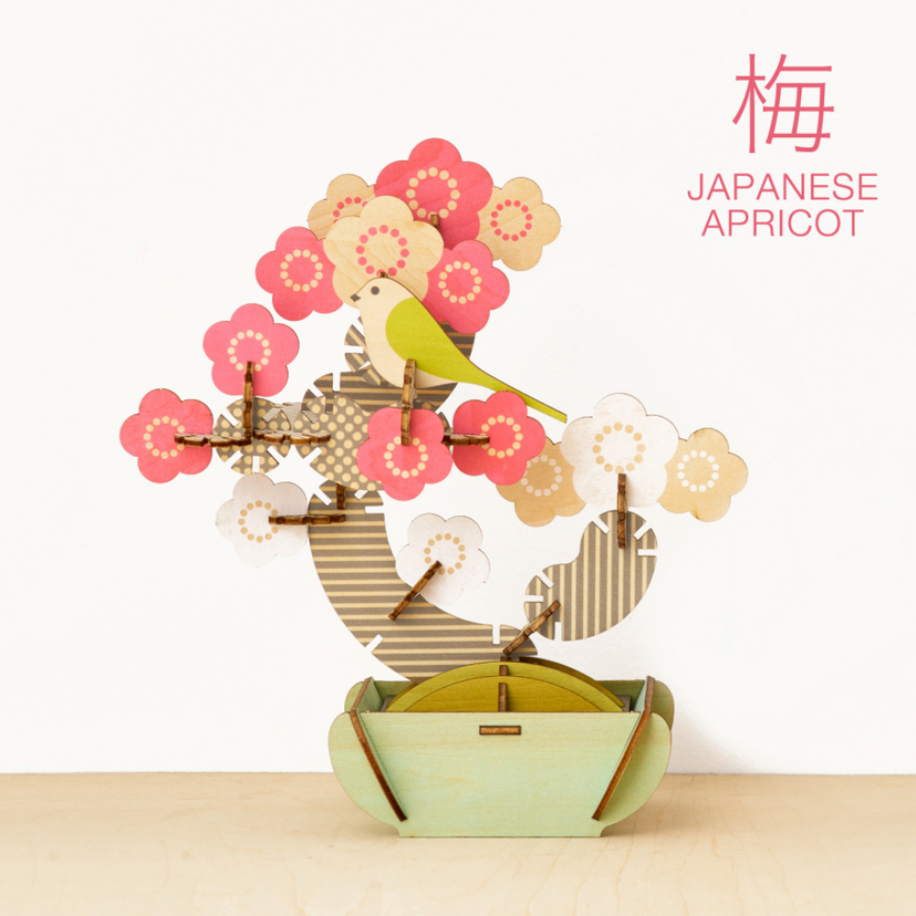 Play Plants Bonsai Puzzles - Classic Desk Buddy