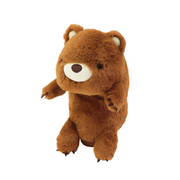 Posture Pal - Gift Shelf Pick
